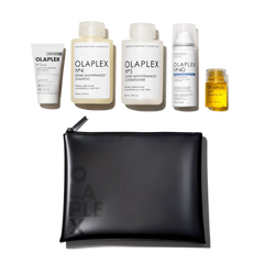 THE HEALTHY HAIR TRAVEL SET